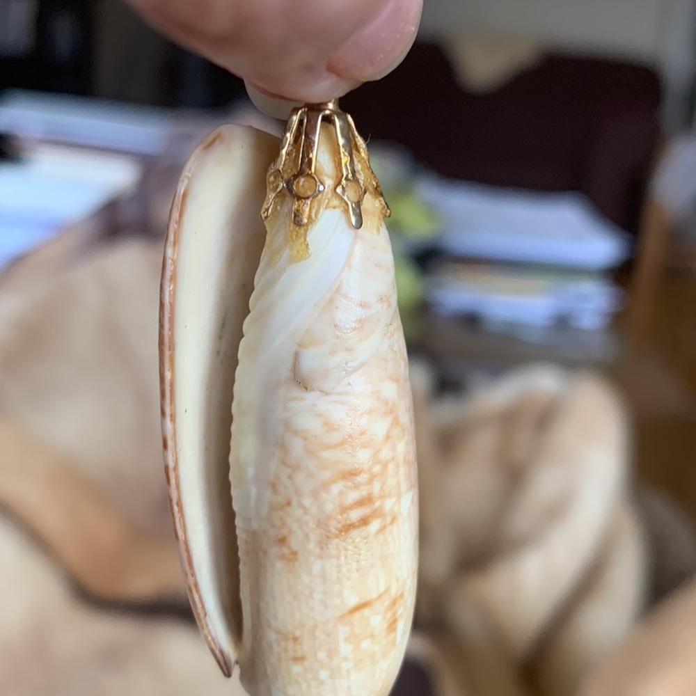Shell Pendant 3” - Picture 4 of 6